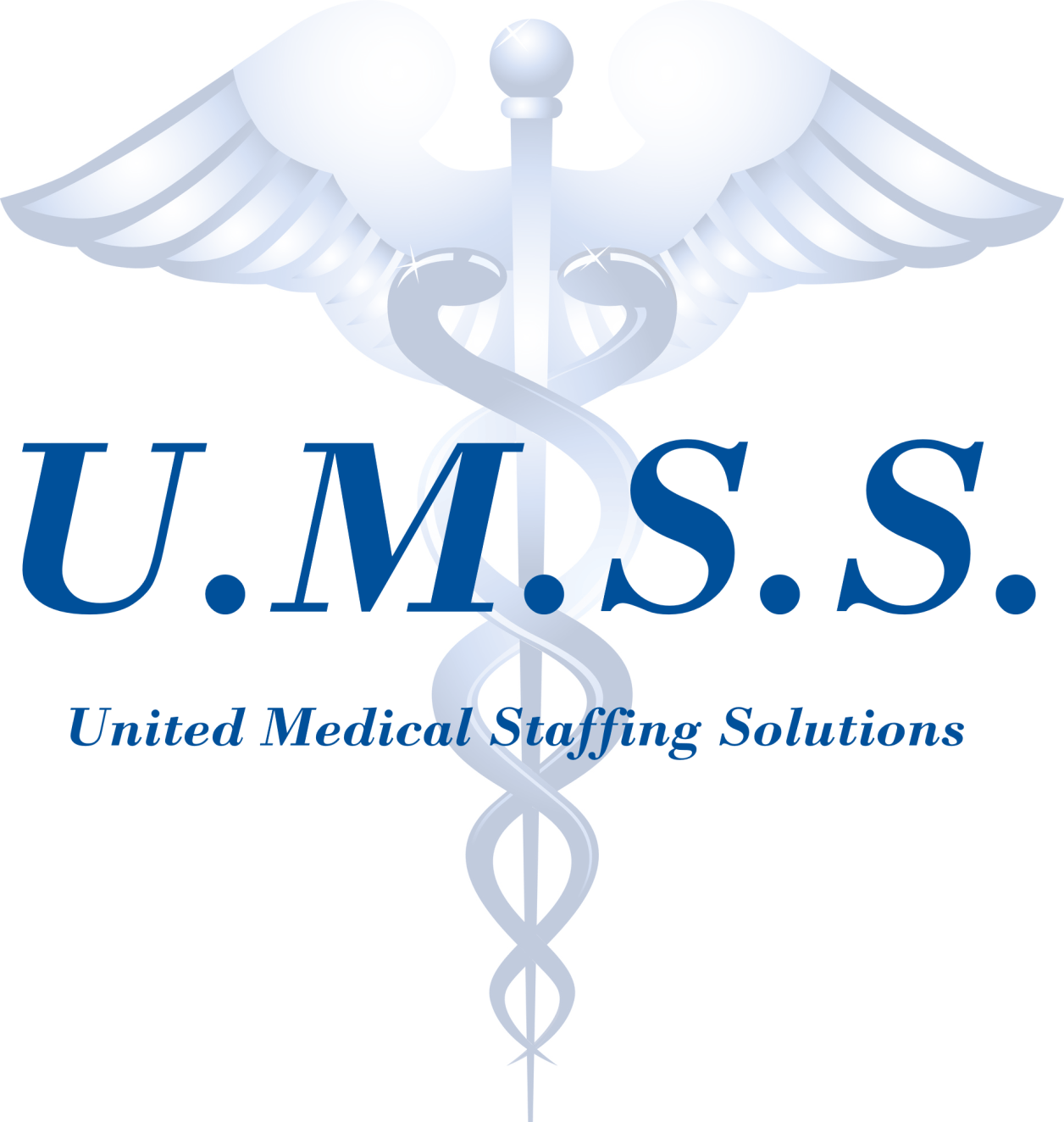 United Medical Staffing Solutions